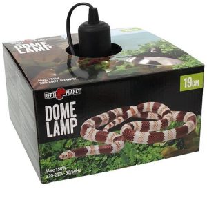 REPTI PLANET DOME 19CM