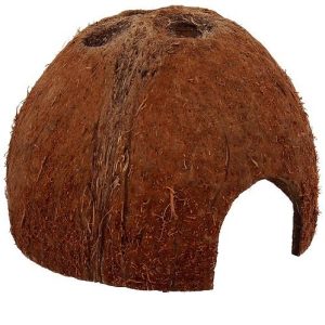 REPTI PLANET COCO SHELL L