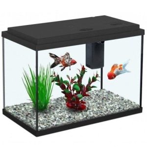 AQUATLANTIS AQUARIO FUNNY FISH 35