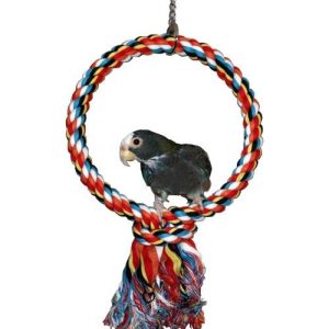 STRONG BIRD TOY CIRCLE COLOURED DIAM 25CM 2.5CM