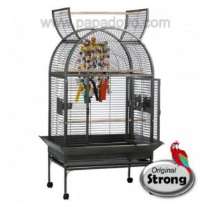STRONG GAIOLA VILLA ISA