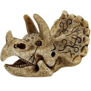 SUPERFISH SKULL TRICERATOPS  S