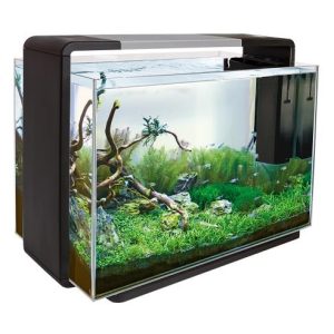 SUPERFISH HOME 110 BLACK