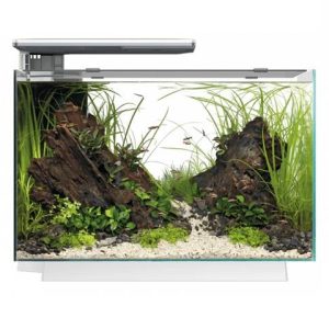 SUPERFISH AQUARIO QUADRO 70 PRO WHITE