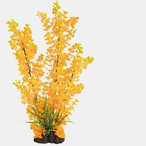 SUPERFISH SF ART PLANT 25CM LUDWIGIA ORANGE