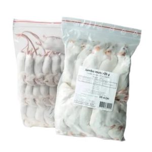 RATO DESMAMADO 7-10GR CONGELADO