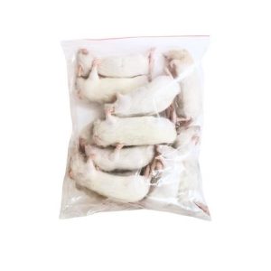 RATAZANA PINKIE 6-10GR CONGELADA