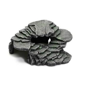 GIGANTERRA PLATAFORMA TARTARUGA BLACK M