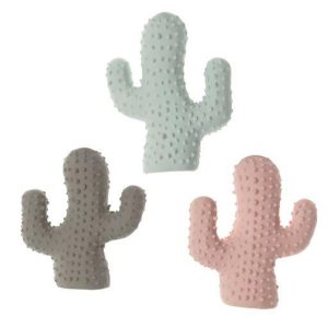 IMAC CACTUS LATEX