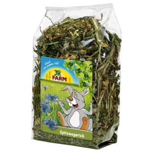 JR FARM RIBWORT 100GR