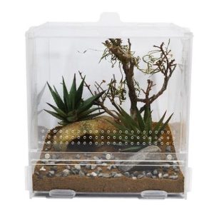 LUCKY REPTILE LIFETARRIUM 20X20X20CM
