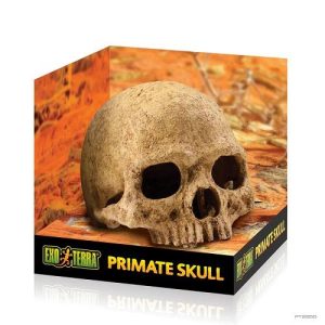 EXO TERRA PRIMATA SKULL