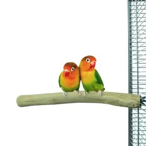 BACK ZOO NATURE JAVA SINGLE PERCH SMALL