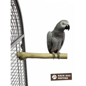 BACK ZOO NATURE SINGLE PERCH MEDIUM