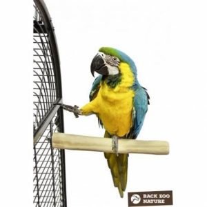 BACK ZOO NATURE SINGLE PERCH LARGE