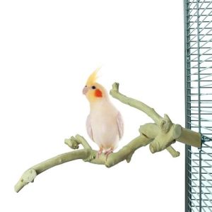 BACK ZOO NATURE JAVA MULTIPERCH PREMIUM MEDIUM