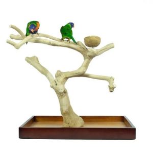 BACK ZOO NATURE JAVA PLAYSTAND PREMIUM MEDIUM