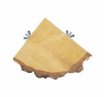 BACK ZOO NATURE QUARTER WOOD SLICE